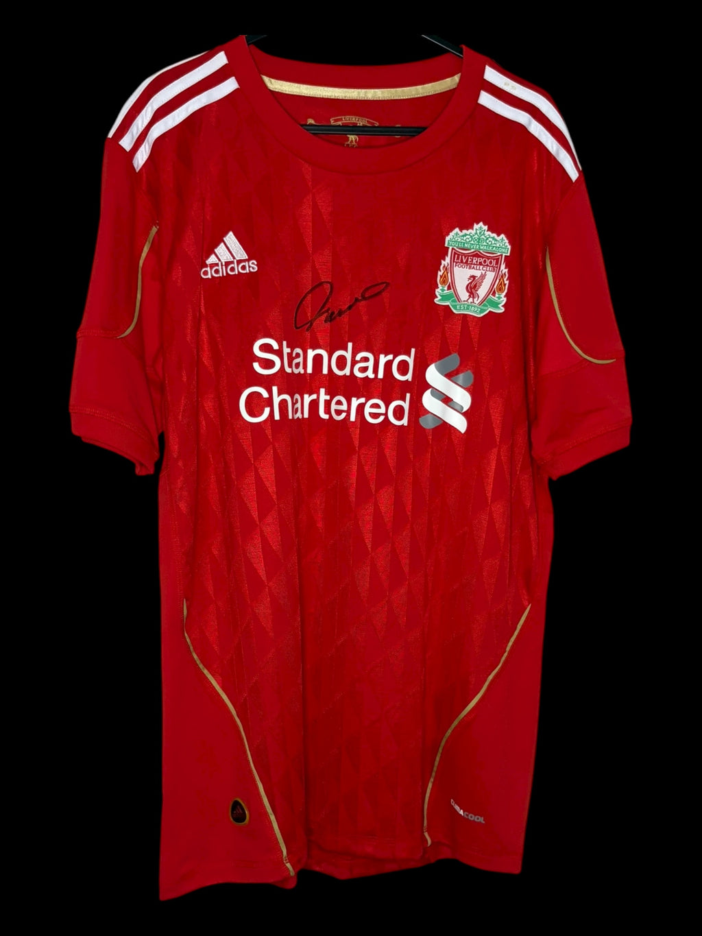 FERNANDO TORRES + ŠKRTEL